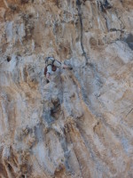 SNV80426.JPG